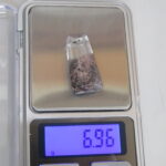 sa1569
