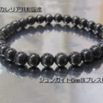 sa1566
