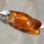 sa2093