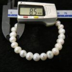 sa2100