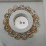 sa2161